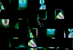 image: obscur