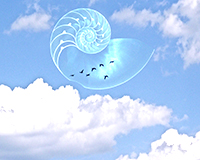 image: SkyOceanBirds: Nautilus