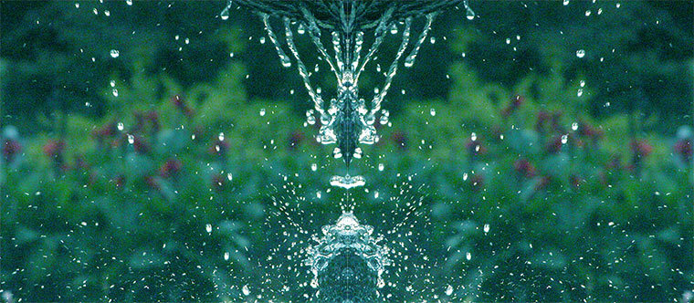 WaterGarden