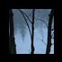 wintertree