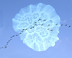 skyoceanbirds 1