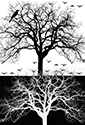 image link to the "Birds Dream of Trees Gallery