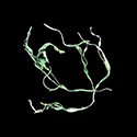 image link to the Eco-Musings Gallery