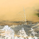 image link to the Conversations Gallery