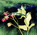 image link to the Fractured gallery