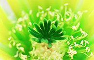 image link to the Conversations Gallery