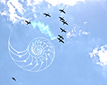 image link to the Conversations Gallery