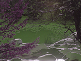 image link to the Conversations Gallery